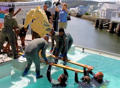 Update: Giant seahorse unveiled